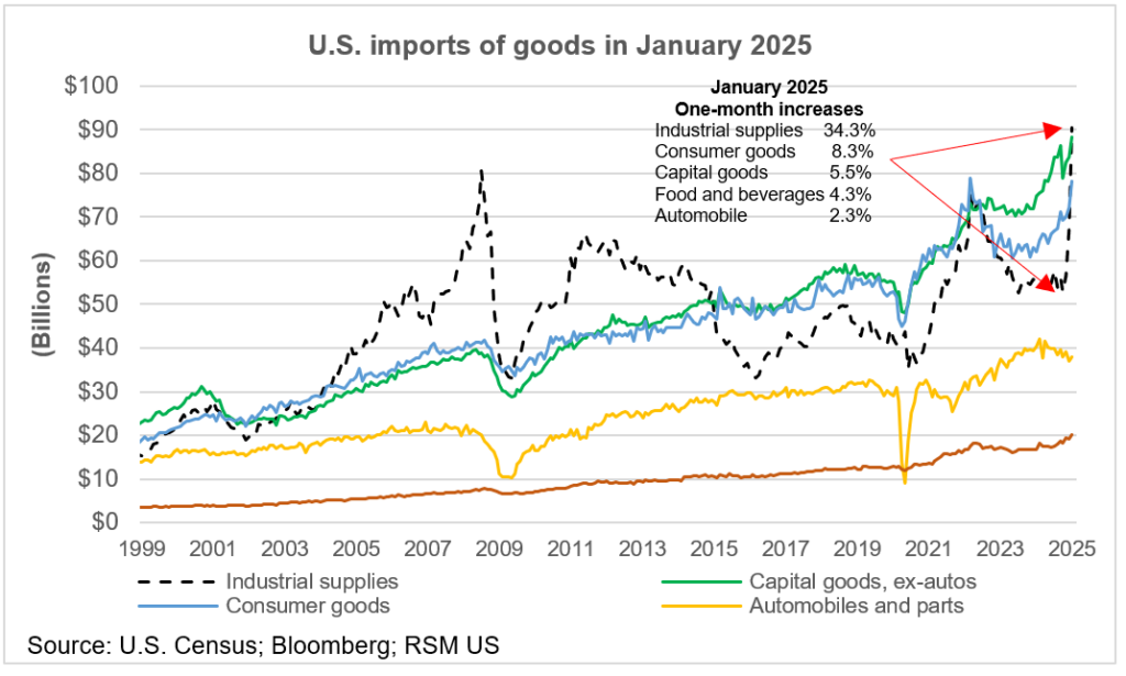 US_Imports_Of_Goods_In_January_2025.png