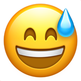grinning-face-with-sweat_1f605.png